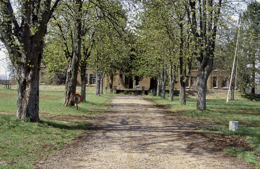 Ligne Maginot - ANGEVILLERS (CAMP) - (Camp de sureté) - Allée du camp