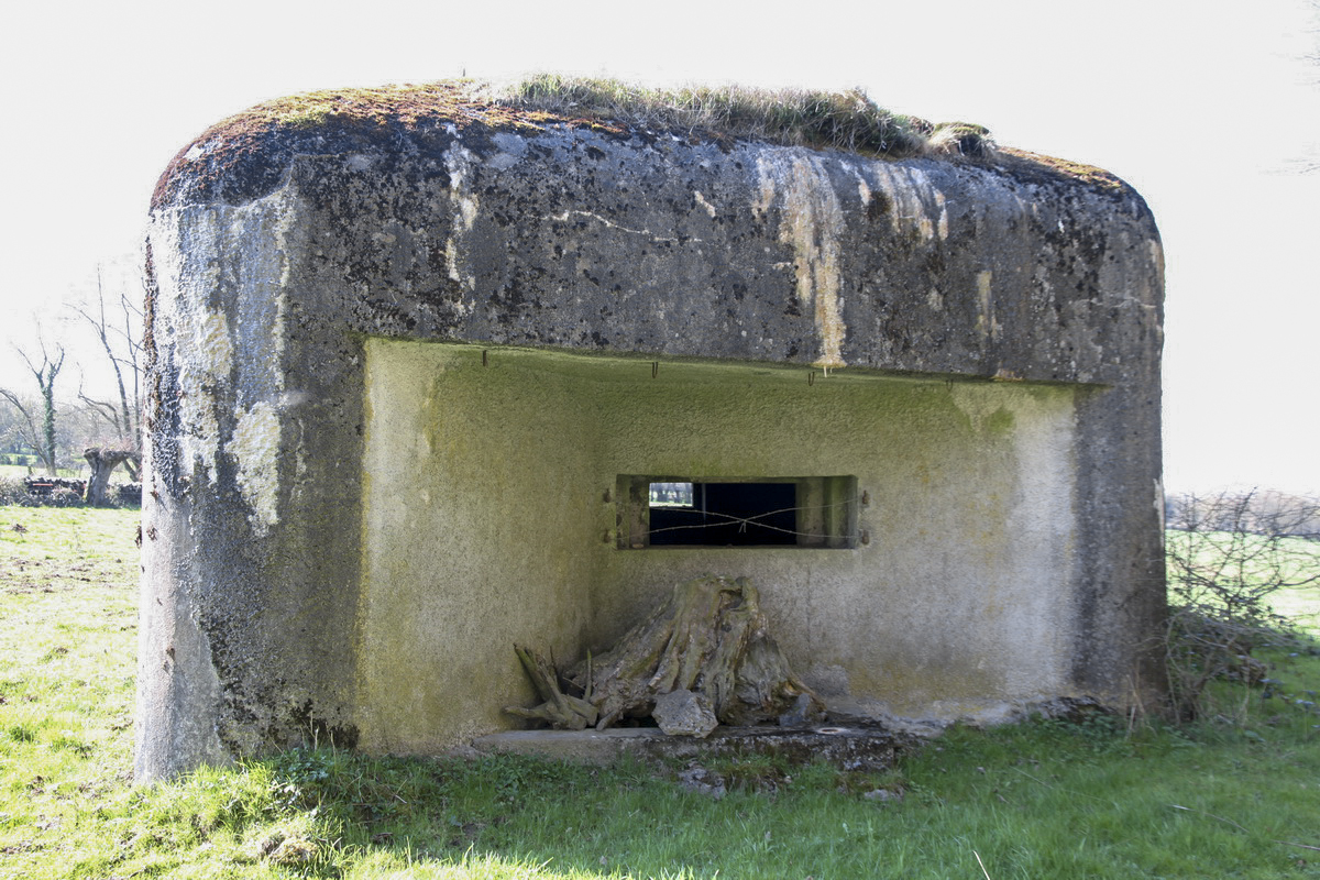 Ligne Maginot - B732 - GARDE DE WILLIES - (Blockhaus pour canon) - Façade nord