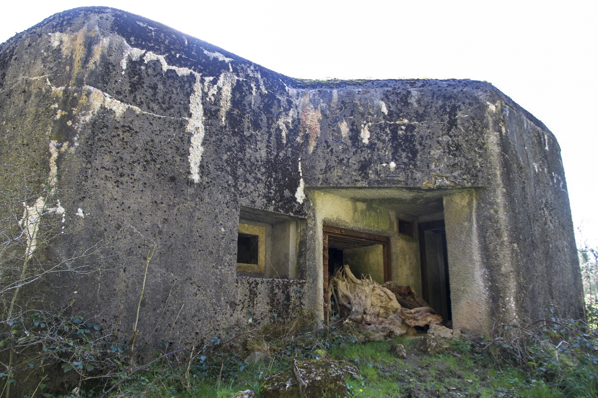 Ligne Maginot - B732 - GARDE DE WILLIES - (Blockhaus pour canon) - Façade nord