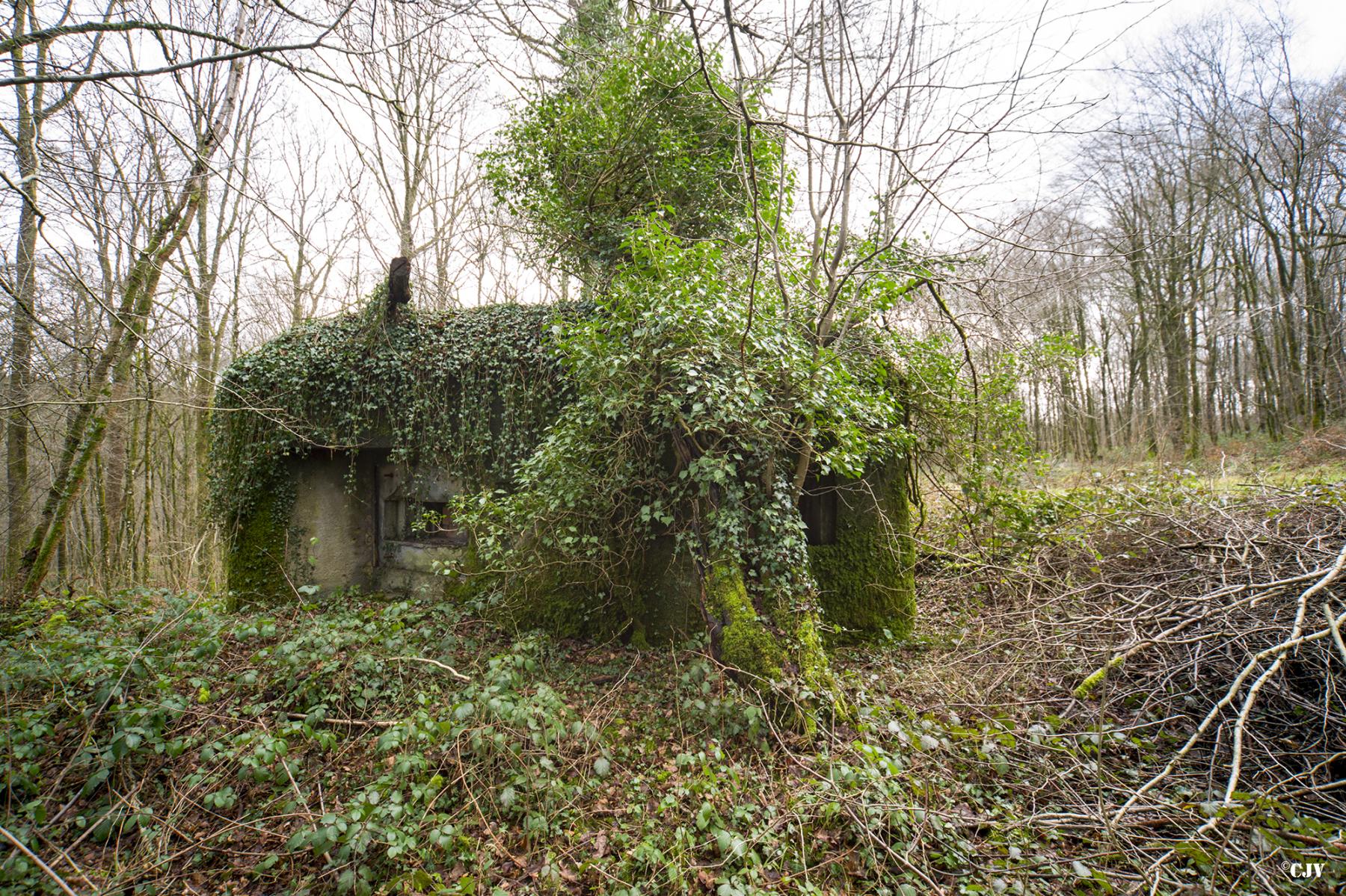 Ligne Maginot - B747 - LE CHAMPIAU - (Blockhaus pour canon) - 