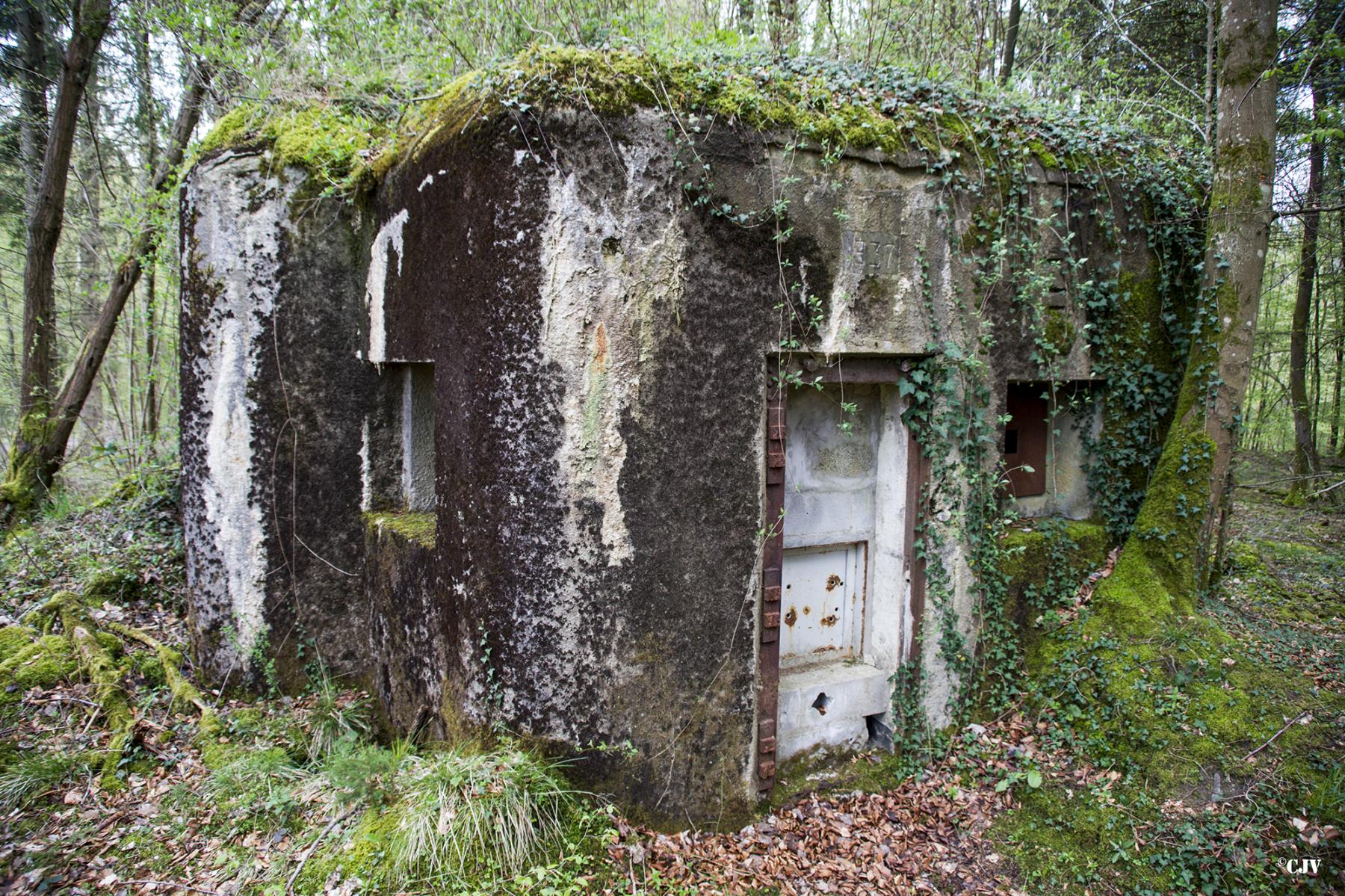 Ligne Maginot - B751 - BEAU CHENE - (Blockhaus pour canon) - 