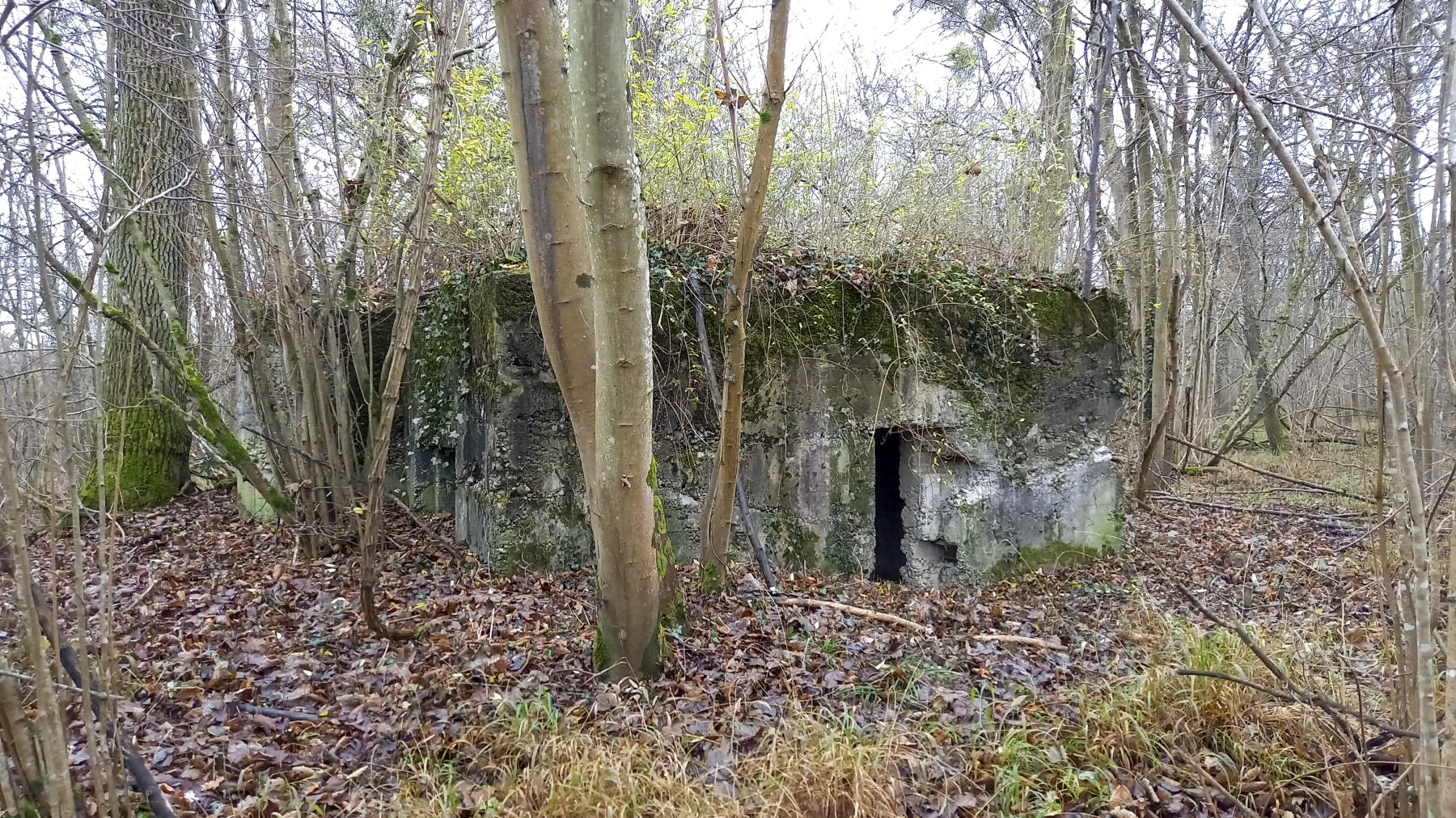 Ligne Maginot - AUSSERE MATTEN EST - (Blockhaus pour arme infanterie) - 