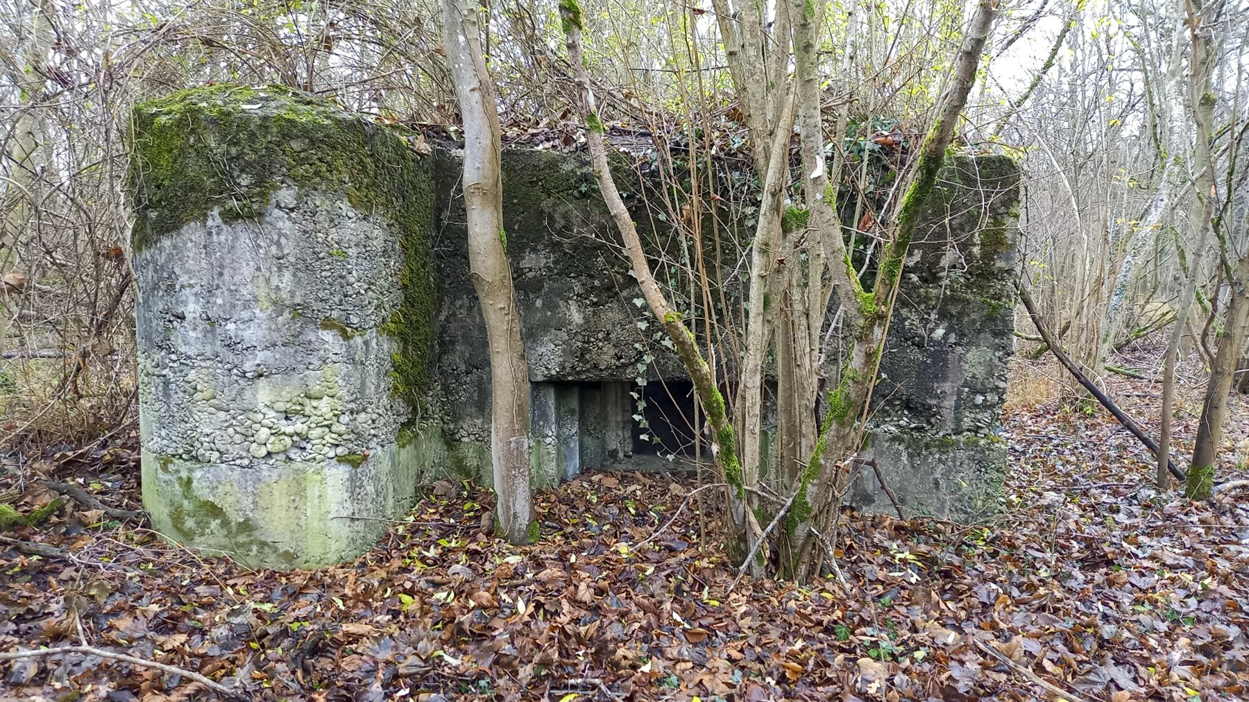 Ligne Maginot - AUSSERE MATTEN EST - (Blockhaus pour arme infanterie) - 