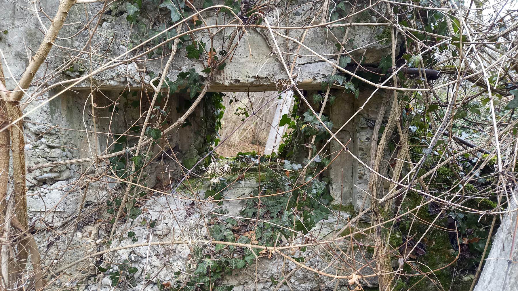 Ligne Maginot - AUSSERE MATTEN OUEST - (Blockhaus de type indéterminé) - 