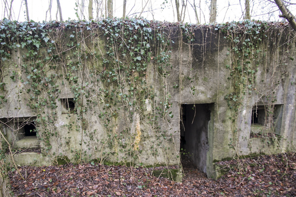 Ligne Maginot - KEMBS LOECHLE 1 - (Blockhaus pour arme infanterie) - Face arrière.
Entrée et deux créneaux FM