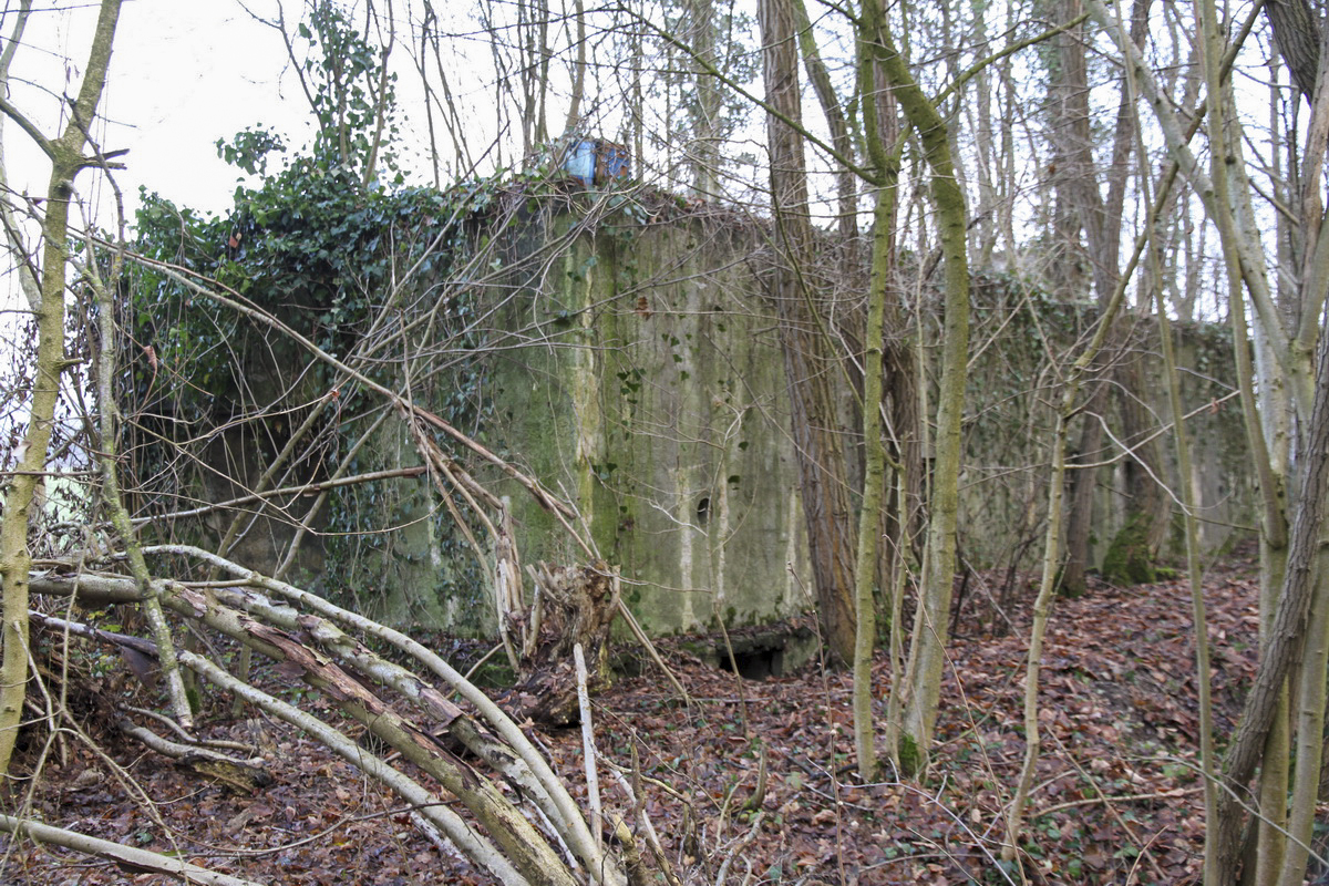 Ligne Maginot - KEMBS LOECHLE 1 - (Blockhaus pour arme infanterie) - Face arrière