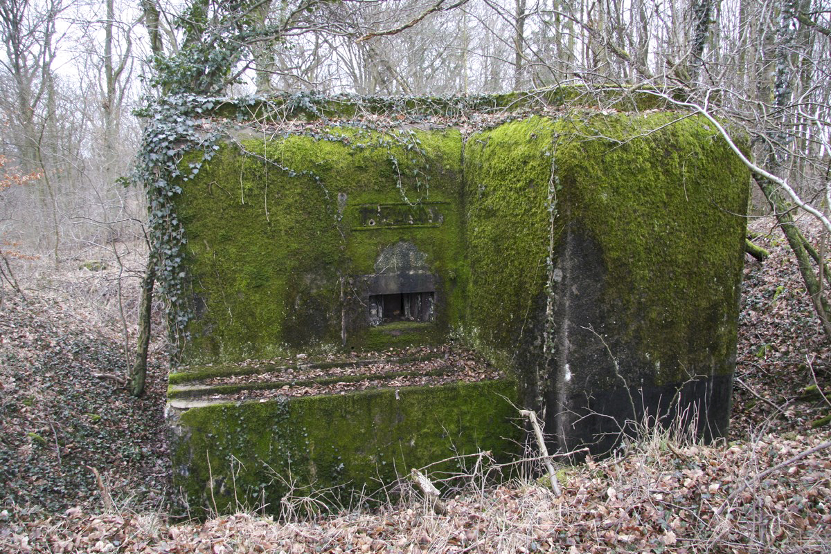 Ligne Maginot - BB164 - STUDEN - SUZANNE - (Blockhaus pour arme infanterie) - 
