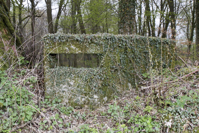 Ligne Maginot - PINAUSET - (Blockhaus pour arme infanterie) - 