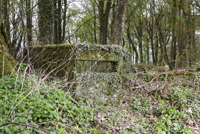 Ligne Maginot - PINAUSET - (Blockhaus pour arme infanterie) - 