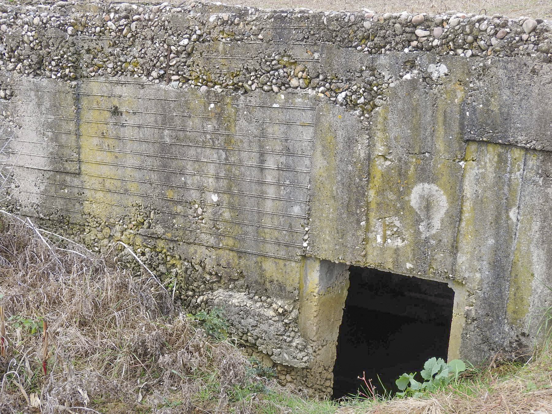 Ligne Maginot - ANNELBACH - (Abri) - L'une des deux entrées