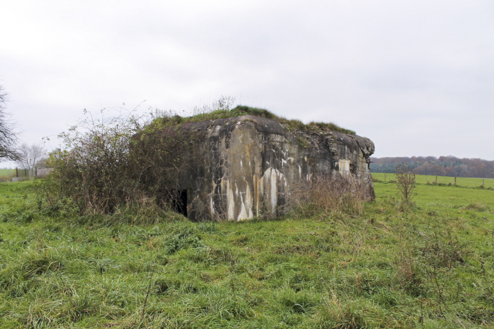 Ligne Maginot - C11 - CONFLUENT 2 - (Blockhaus pour canon) - Façade arrière