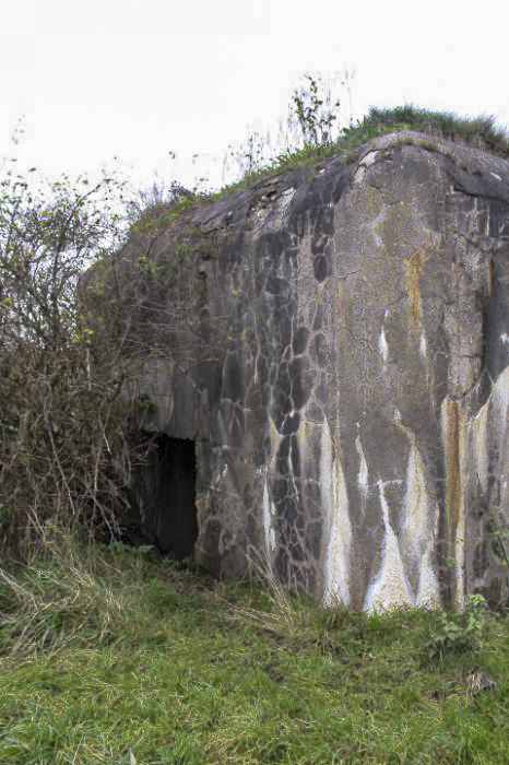 Ligne Maginot - C11 - CONFLUENT 2 - (Blockhaus pour canon) - L'entrée du matériel