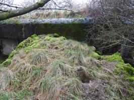 Ligne Maginot - WOLFSREDGEN EST - (Blockhaus pour canon) - Le mur orillon en maçonnerie qui sépare les deux façades de tir.