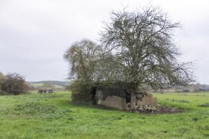 Ligne Maginot - C14 - CONFLUENT 1 - (Blockhaus pour canon) - Vue générale