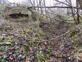 Ligne Maginot - 48BIS - BUTTE DE FRENOIS EST - (Blockhaus pour canon) - Face gauche avec une tranchée menant  vers l'entrée