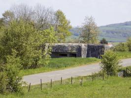 Ligne Maginot - 17 - CHEMIN DES BOSSEUSES - (Blockhaus pour arme infanterie) - Vue vers le sud-est, 108 - Palletto