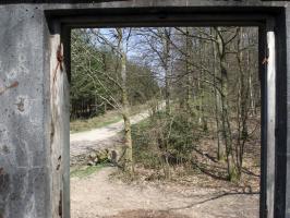 Ligne Maginot - MF14 - Q - BOUCHON DE LA GRENOUILLE - (Poste GRM - Maison Forte) - 1er étage, vue vers le nord