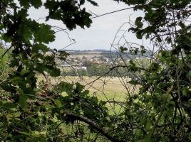 Ligne Maginot - PFAFFENBUSCH 1 - (Observatoire d'infanterie) - Vue depuis l'observatoire