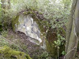 Ligne Maginot - PFAFFENBUSCH 1 - (Observatoire d'infanterie) - 