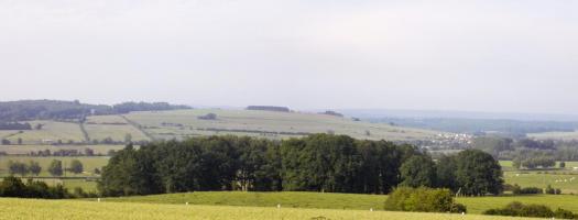 Ligne Maginot - 31A - LIPHE - (Blockhaus pour canon) - Vue vers le nord, direction de tir AC et vers le nord-est, direction de tir Hotckiss