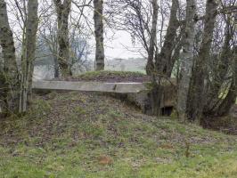 Ligne Maginot - 48TER - BUTTE DE FRENOIS OUEST - (Blockhaus pour canon) - Faces gauche et l'arrière