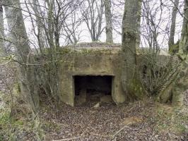 Ligne Maginot - 48TER - BUTTE DE FRENOIS OUEST - (Blockhaus pour canon) - L'entrée AC