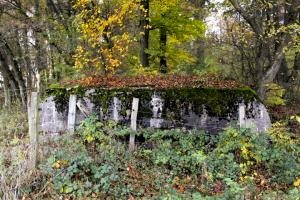 Ligne Maginot - PFAFFENBUSCH 3 - (Observatoire d'infanterie) - 