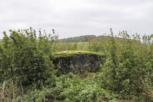 Ligne Maginot - TIERGARTEN 1 - (Observatoire d'infanterie) - Vue générale