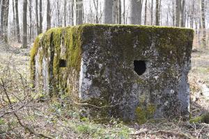 Ligne Maginot - F2B - GRUNDVILLER 5 - (Blockhaus pour arme infanterie) - 