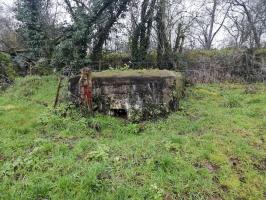 Ligne Maginot - M41B - HERRENWEG 4 - (Blockhaus de type indeterminé) - 