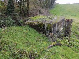 Ligne Maginot - M41B - HERRENWEG 4 - (Blockhaus de type indeterminé) - 