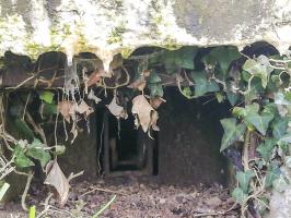 Ligne Maginot - M41B - HERRENWEG 4 - (Blockhaus de type indeterminé) - Le seul créneau du blockhaus