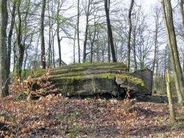 Ligne Maginot - MEISTERBUSCH SUD - (Blockhaus pour arme infanterie) - Vue générale