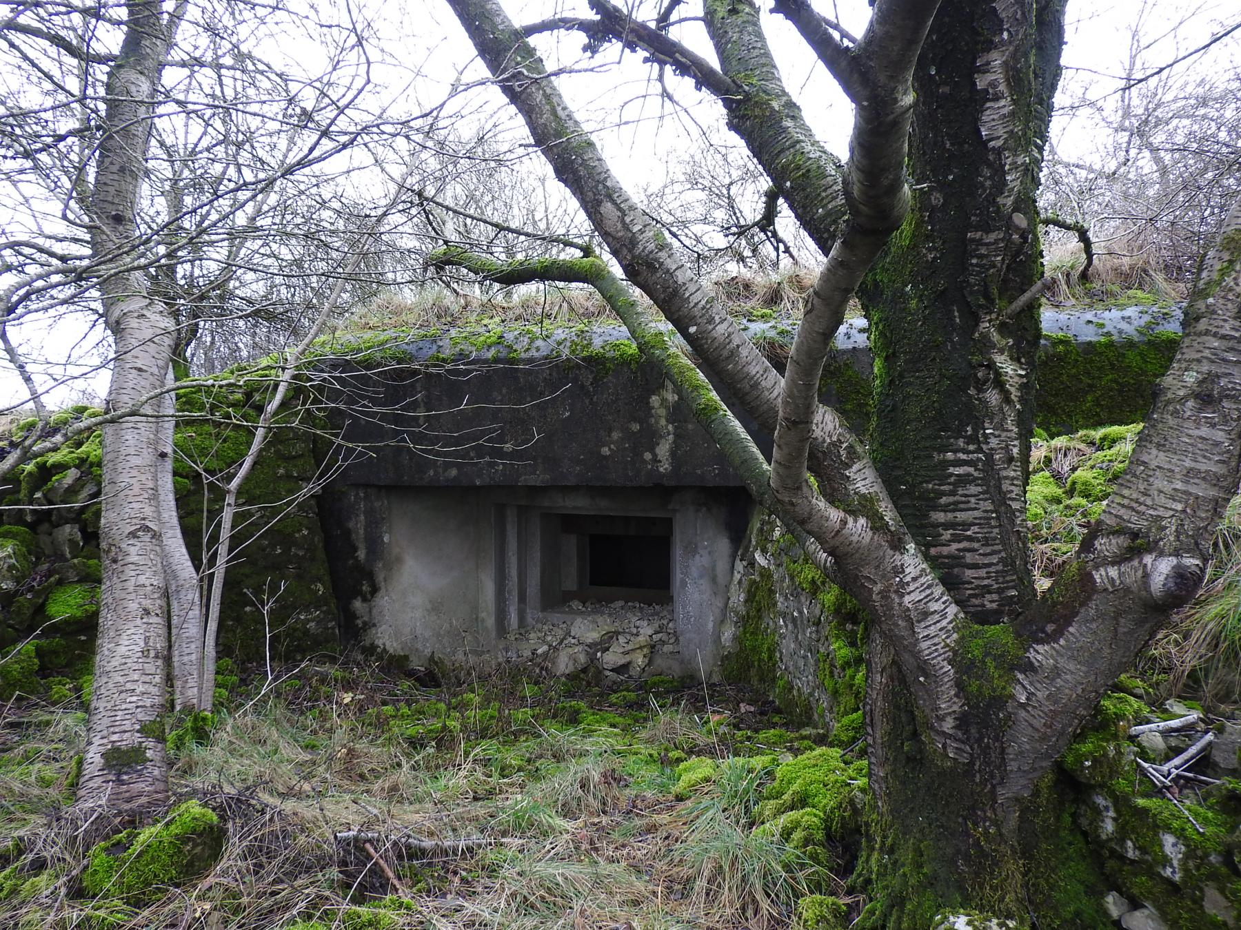 Ligne Maginot - WOLFSREDGEN EST - (Blockhaus pour canon) - La façade de tir anti-char d'action frontale.