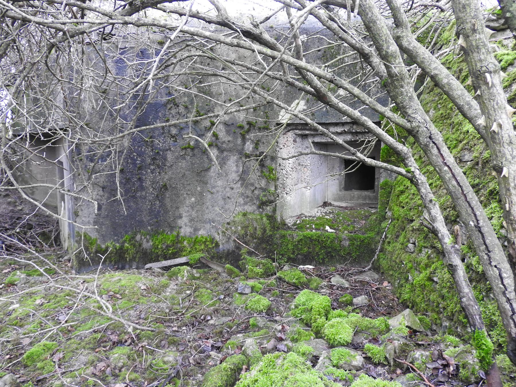 Ligne Maginot - WOLFSREDGEN EST - (Blockhaus pour canon) - Les créneaux pour armes d'infanterie.