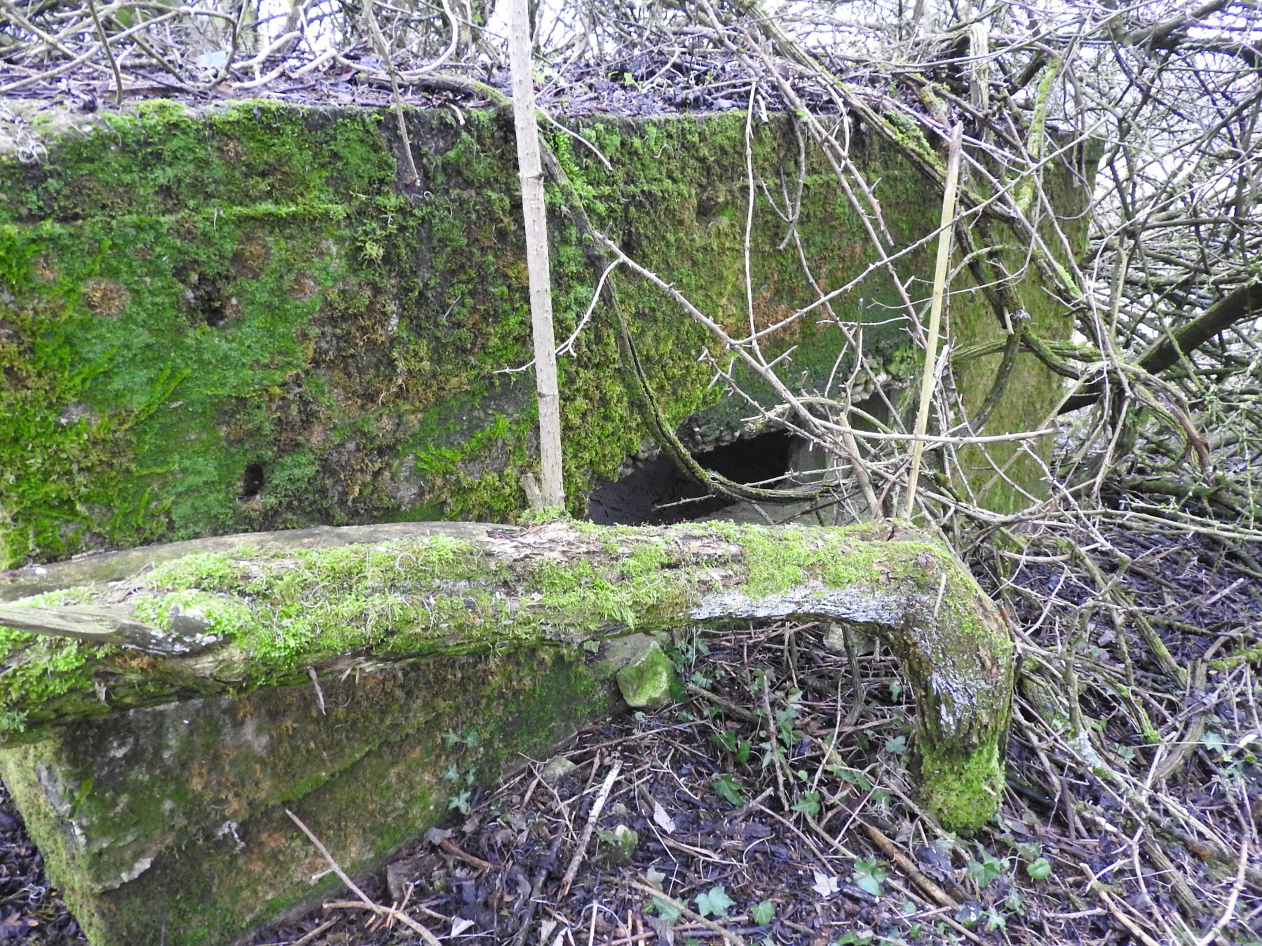 Ligne Maginot - STEINER DEL 2 - (Blockhaus pour arme infanterie) - La façade de tir et son créneau.