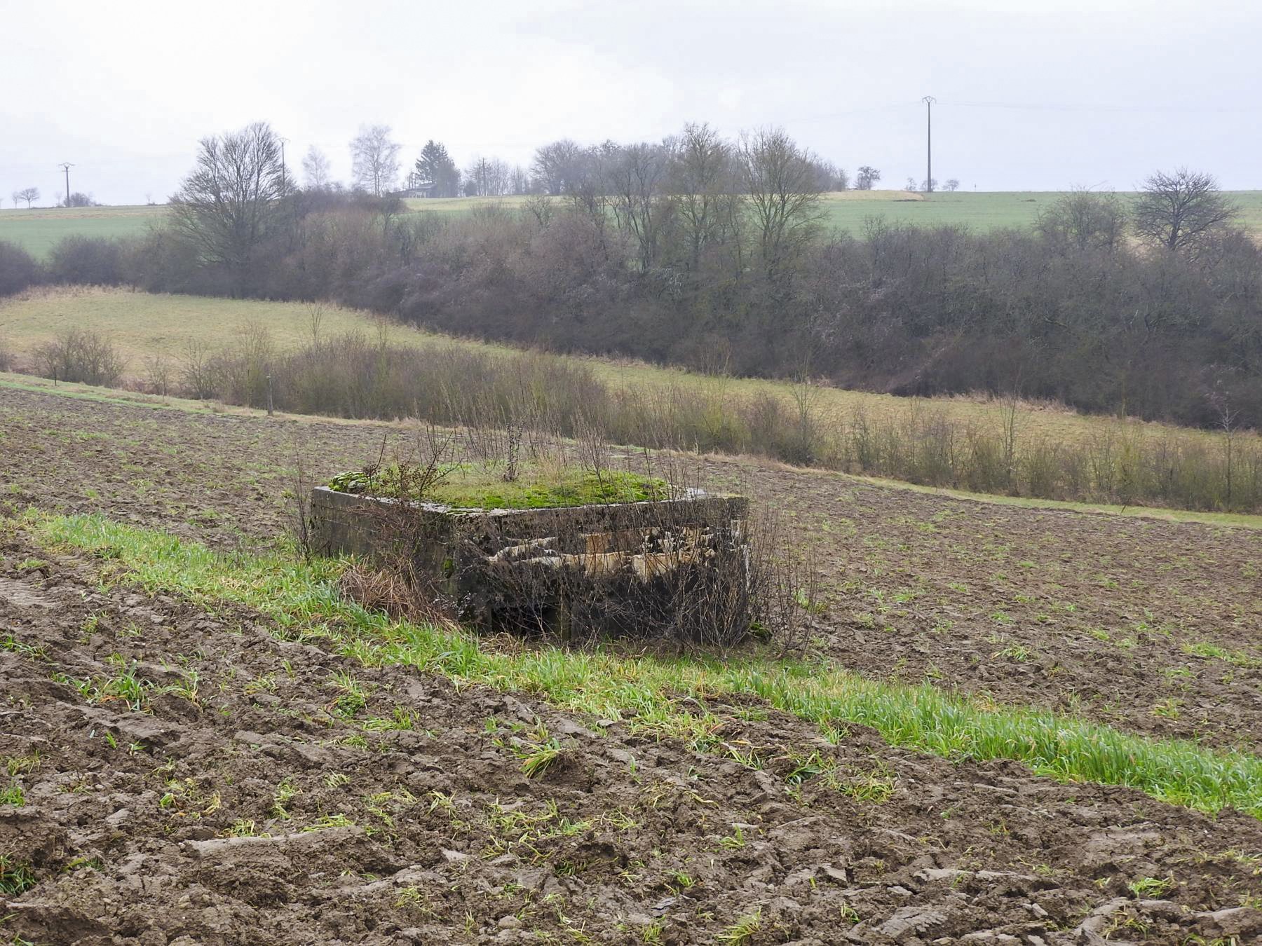 Ligne Maginot - KAJEL - (Blockhaus pour arme infanterie) - Le blockhaus vu depuis la route.