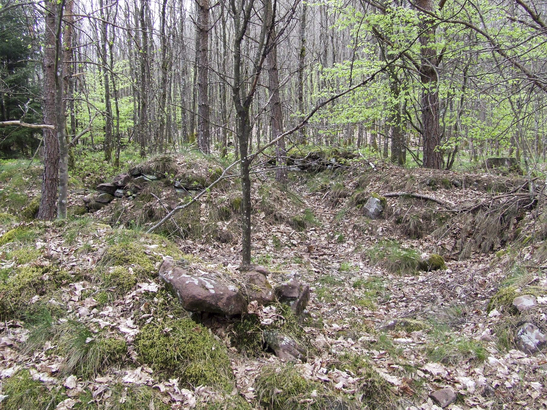 Ligne Maginot - ERBSENTHAL - Une position d'infanterie sur le rocher qui surplombe la DMP