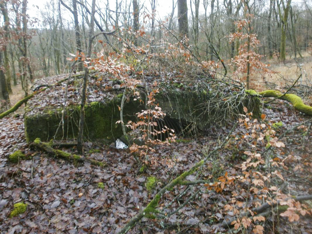 Ligne Maginot - HART (II/174° RMIF) - (PC de Quartier) - Le deuxième abri