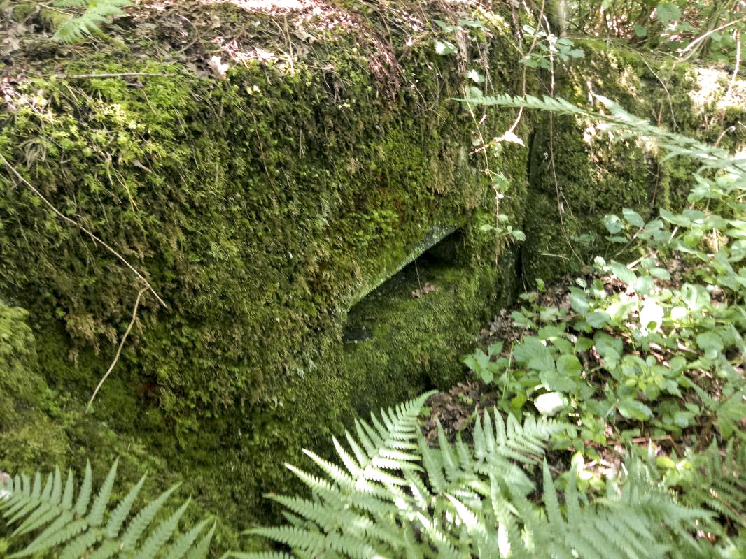 Ligne Maginot - ERNESTVILLER 3 - (Blockhaus de type indeterminé) - 