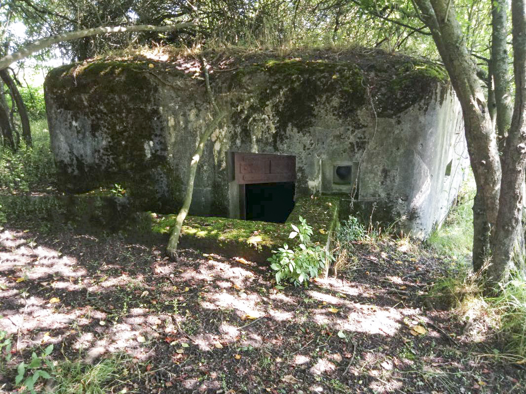 Ligne Maginot - ERNESTVILLER 4 - (Blockhaus pour arme infanterie) - Face ouest