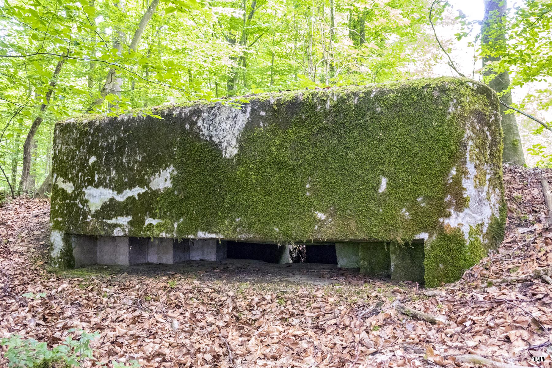 Ligne Maginot - HART OUEST 5 - (Observatoire d'infanterie) - 