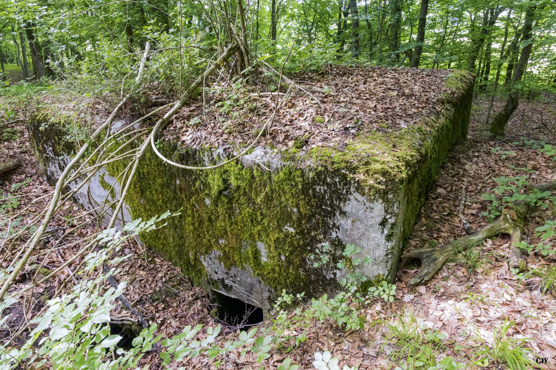 Ligne Maginot - HART OUEST 5 - (Observatoire d'infanterie) - 