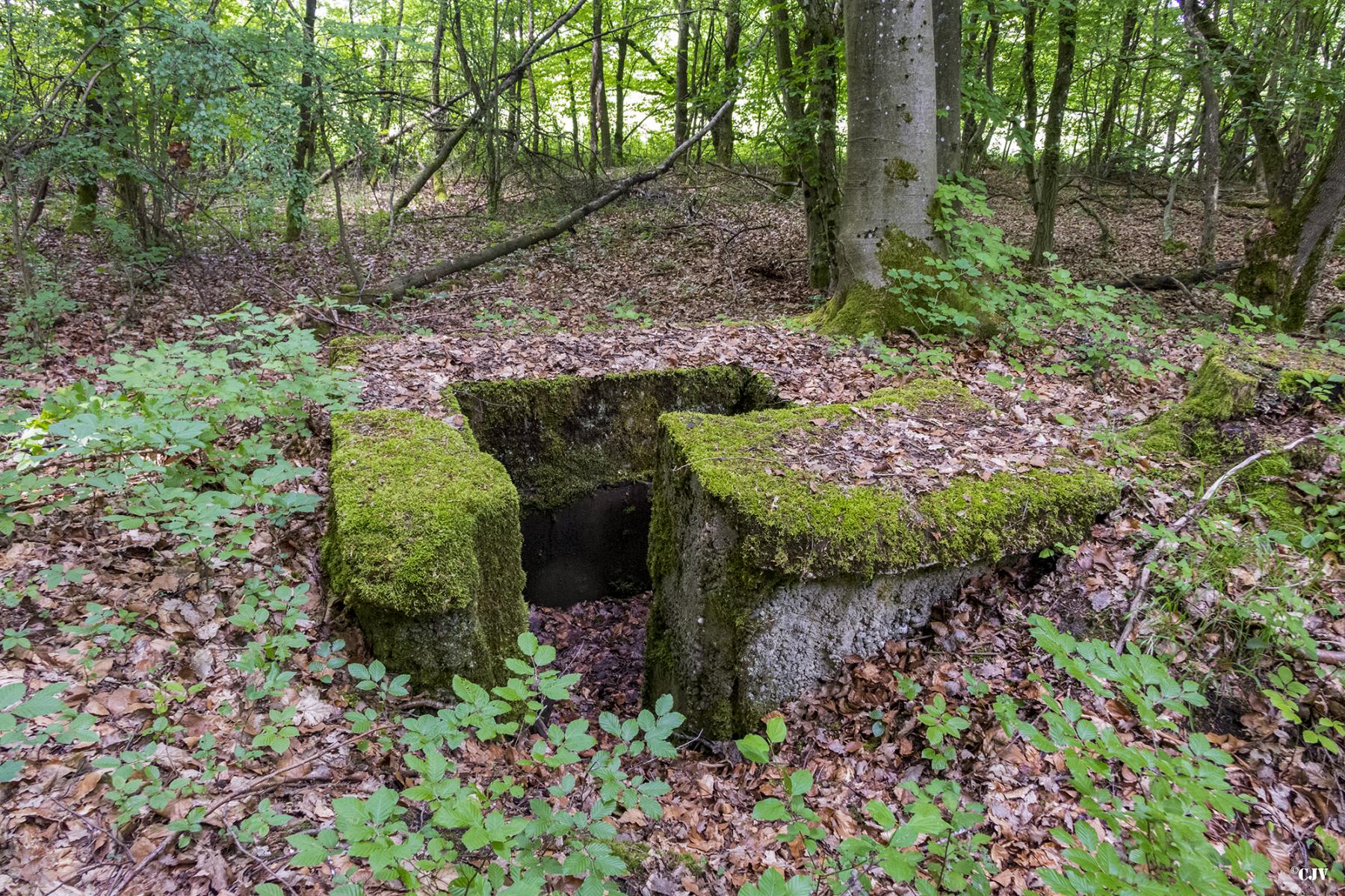 Ligne Maginot - HART OUEST 4 - (Observatoire d'infanterie) - 