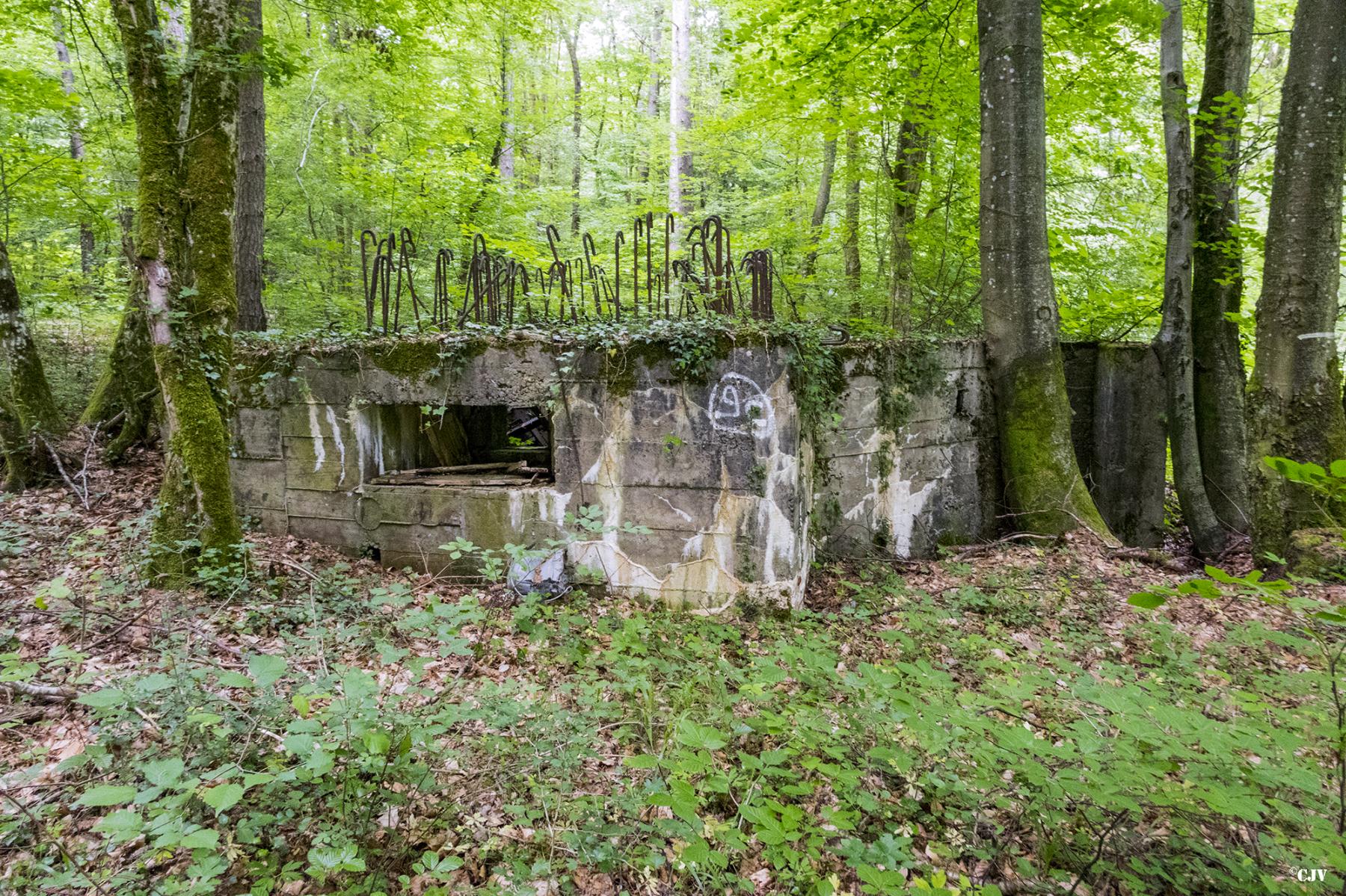 Ligne Maginot - HART OUEST 2 - (Blockhaus pour arme infanterie) - 