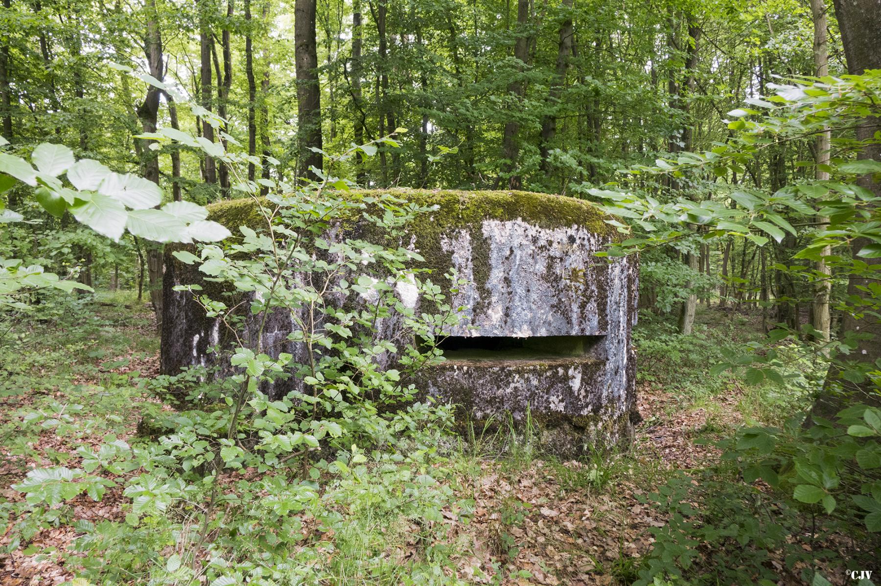 Ligne Maginot - HELLENWALD 5 - (Observatoire d'infanterie) - 