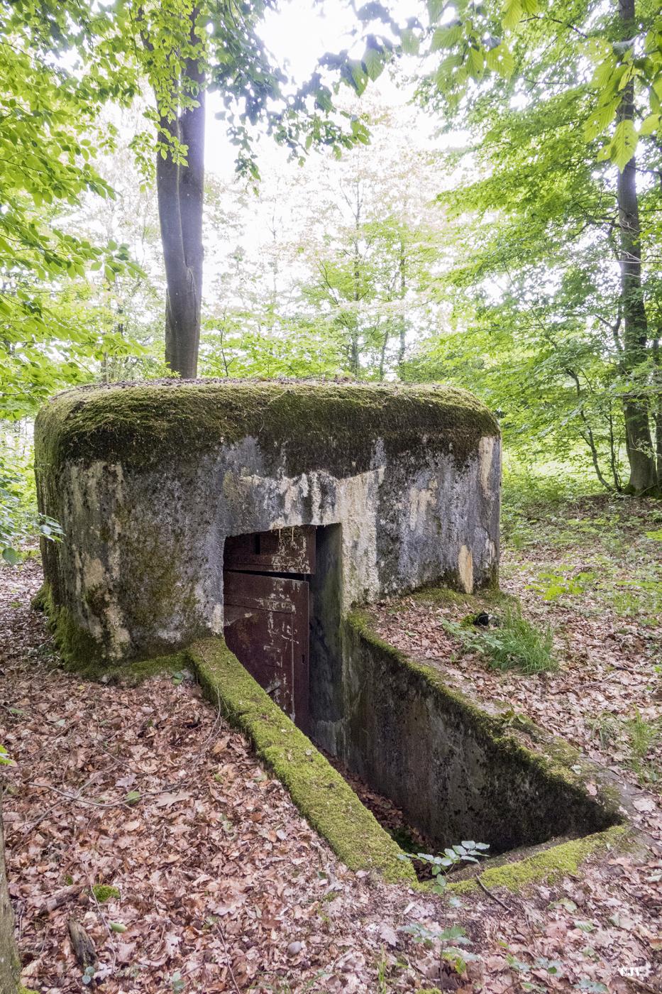 Ligne Maginot - HELLENWALD 5 - (Observatoire d'infanterie) - 