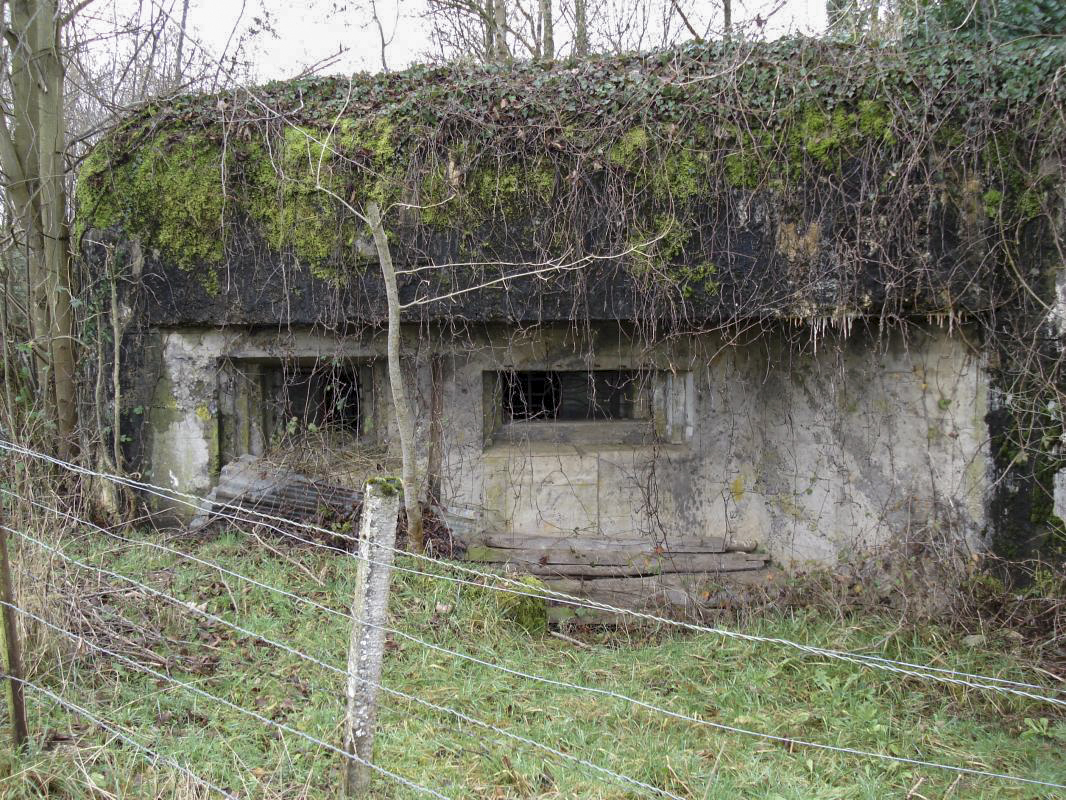 Ligne Maginot - 109 - PETIT REMILLY - (Blockhaus lourd type STG / STG-FCR - Double) - Les créneaux