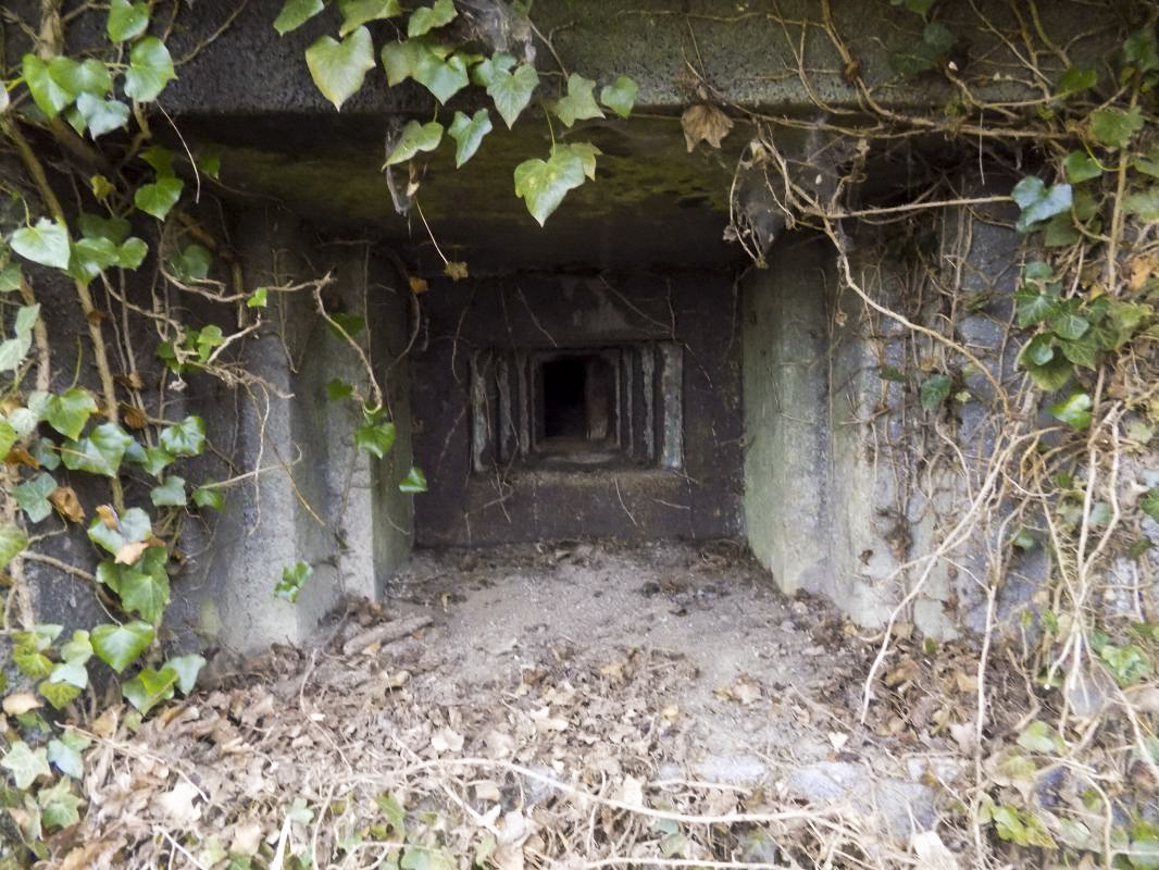 Ligne Maginot - 103 - CHATEAU BELLEVUE - (Blockhaus lourd type STG / STG-FCR - Double) - Face droite, créneau Hotchkiss