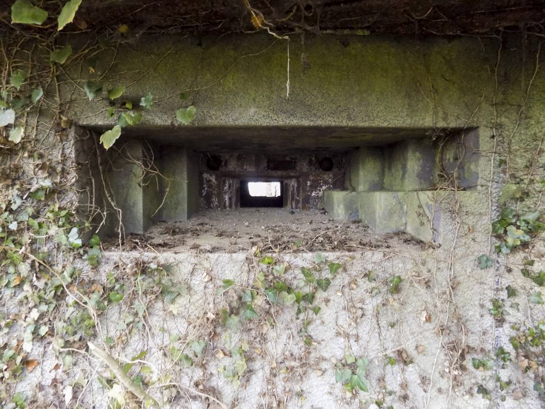 Ligne Maginot - 103 - CHATEAU BELLEVUE - (Blockhaus lourd type STG / STG-FCR - Double) - Face droite, créneau AC